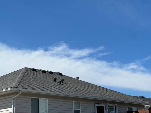 Skylights in Oakhurst, NJ